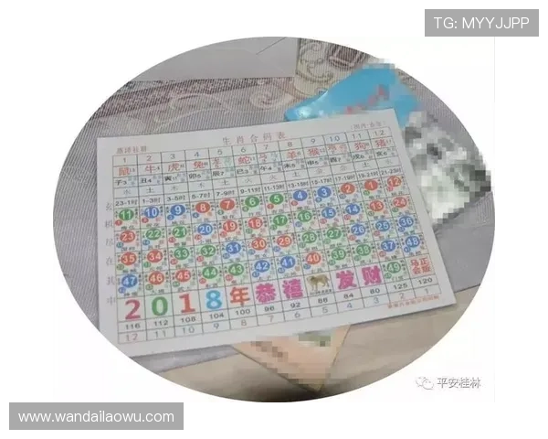 六合彩官方入口全天候在线，实时开奖信息及时推送保障用户权益