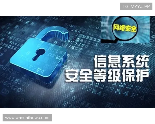 新葡京娱乐app网址常见问题解答与安全保障措施详解