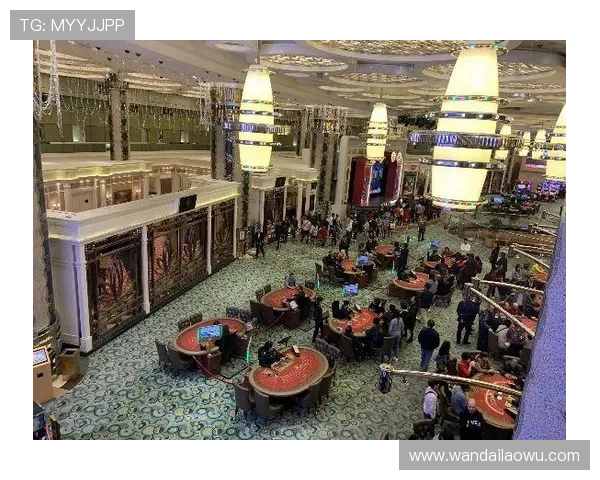 新葡京赌场娱乐介绍最新的线上博彩平台优势与多样化的游戏玩法