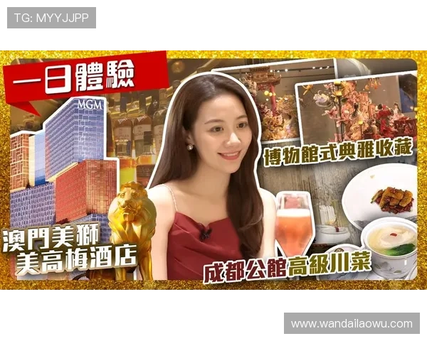 美獅美高梅的安全保障措施与客户服务体系全面解析保障您的入住无忧